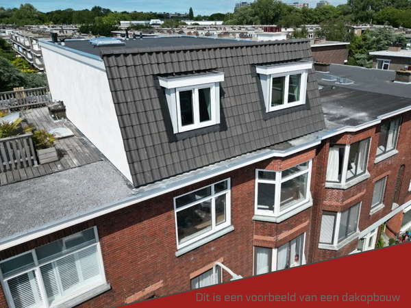 dakopbouw-constructie-expert-high.png.webp