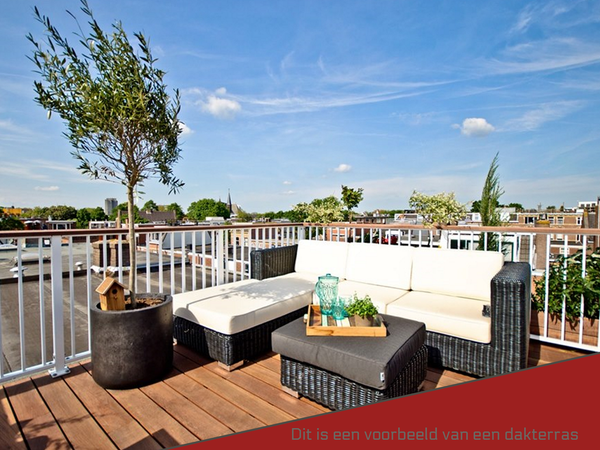 dakterras-constructie-expert-high.png.webp